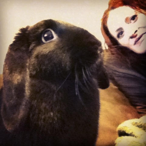 Rockstar Rabbit by HyperCatSallie on DeviantArt