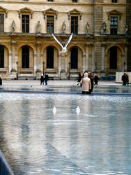 Bird at the Louvre