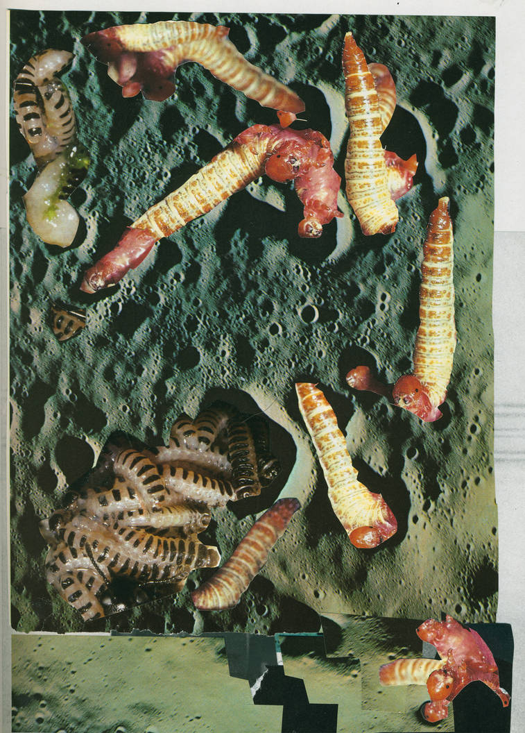 Infested Moons moon worms by chadwhite on DeviantArt