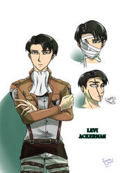 Levi Ackerman different styles