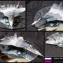 Sukhoi PAK FA T-50