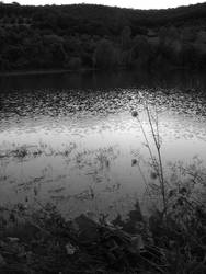 Light shadows and water