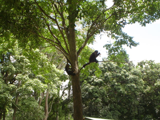 Vida en la Naturaleza