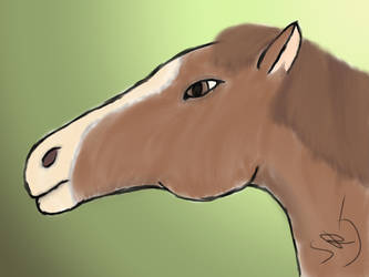 Horse bust 1