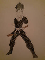 Detective ninja hiei