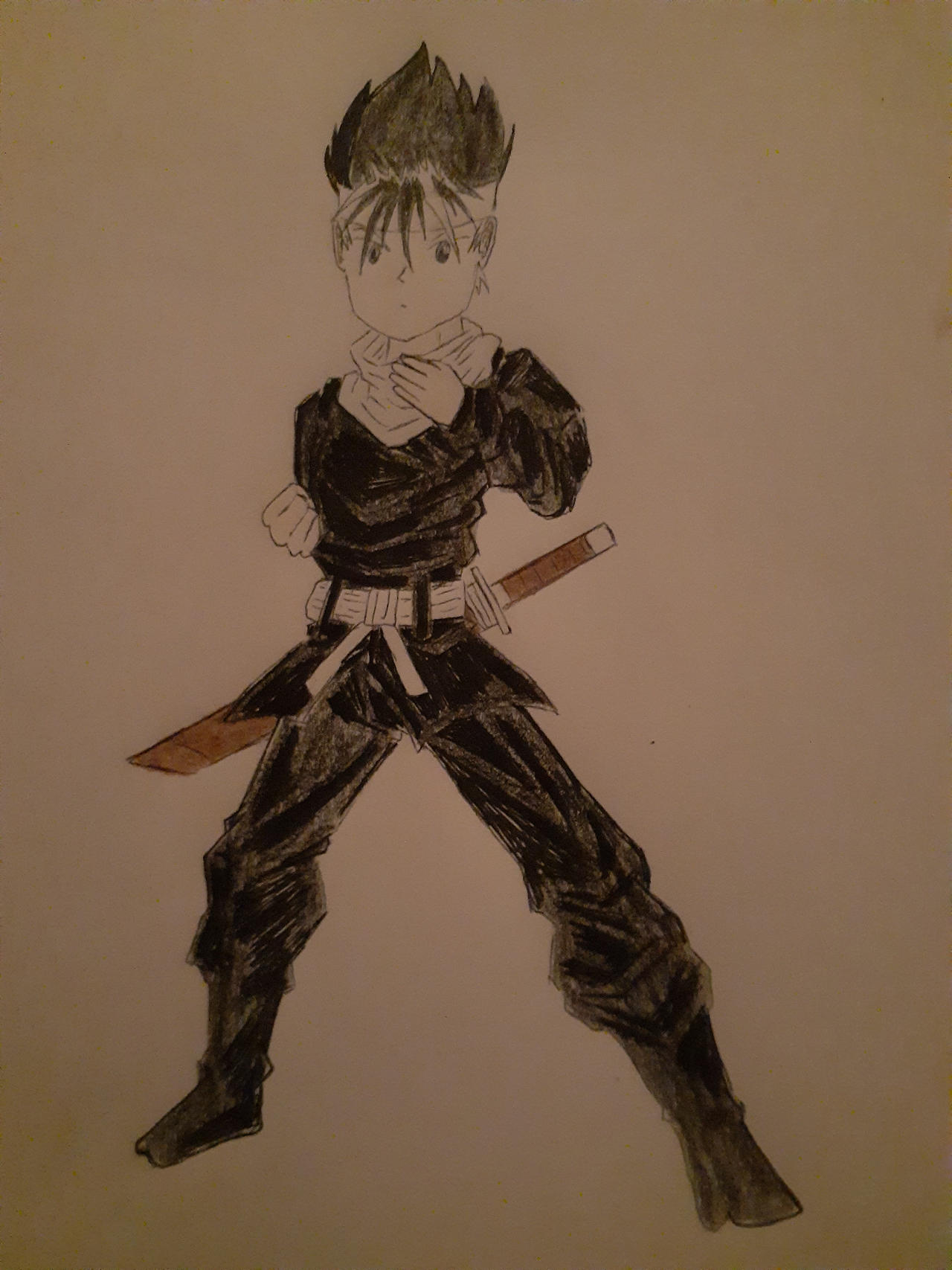 Detective ninja hiei