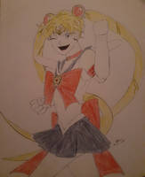 Sailor moon ready for action no2