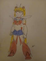 Introducing MEGA sailor moon