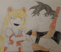Super besties sailor moon and goku