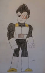 Vegeta explosive brawler