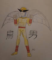 Toonami legendary superhero birdman