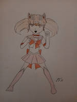 Sailor mini moon