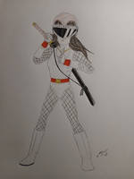 Ninja reiha sheriff Skywalker