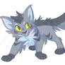 Graypaw