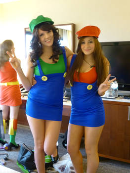 ACen: 2013 Mario and Luigi