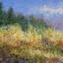 Hillside Flowers 12X24