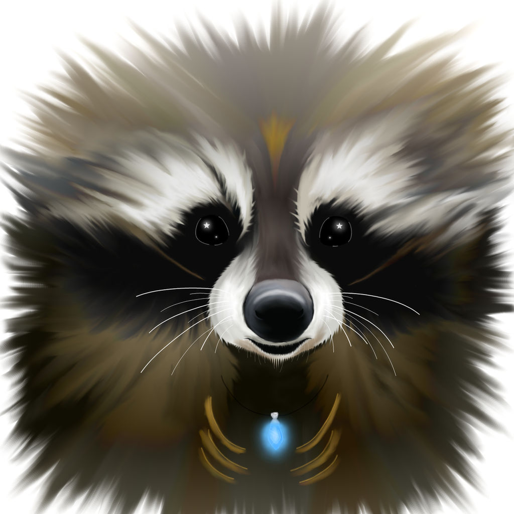 Deviantart Ringtail Mister -DA- Ringtail by DivergentAssailant on DeviantArt