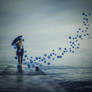 Upon the wings of the wind