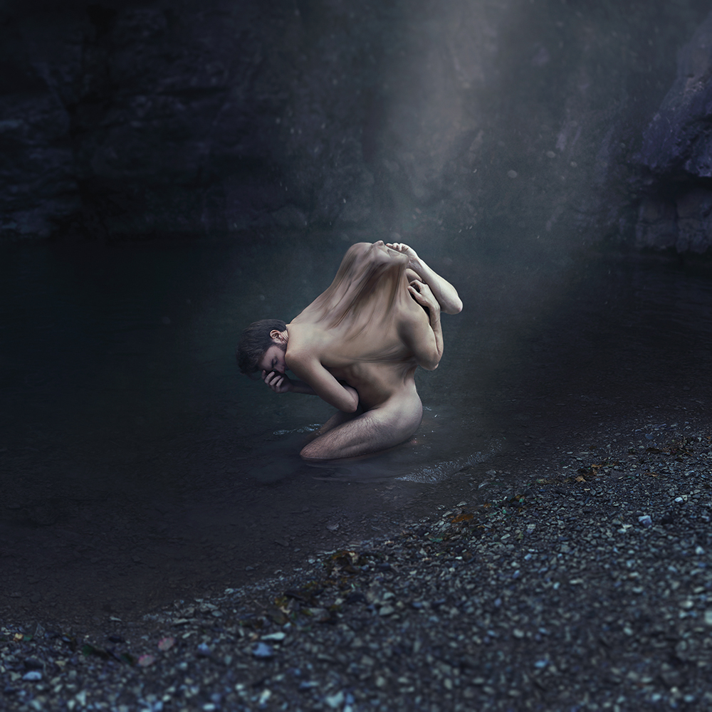 41/52 Animality - Bipolar disorder