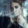 45/52 Through the window - Summer rain