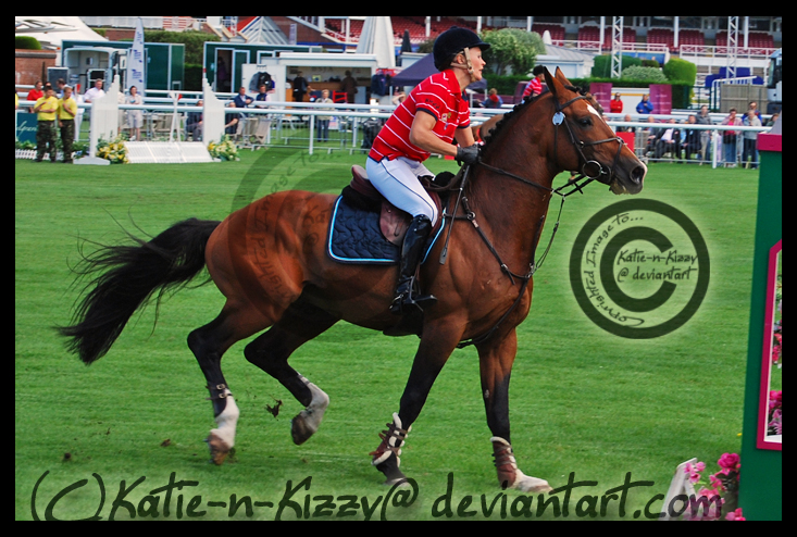 Bay Horse Take-Off