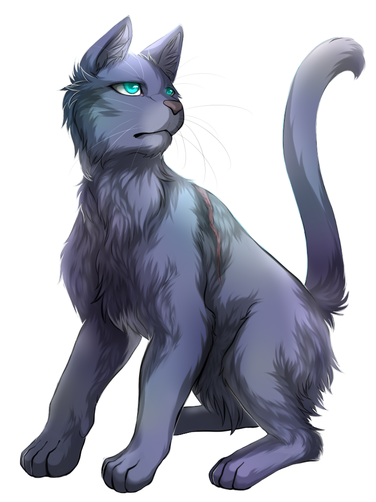 Warriors: Bluestar by JazzTheTiger on DeviantArt