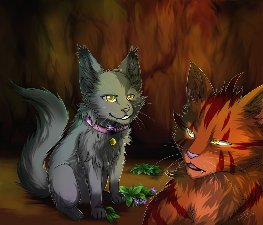 Warriors Avos Alderheart And Velvet By Marshcold On Deviantart Warriors Avos Alderheart And Velvet By Marshcold On Deviantart