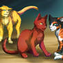 WARRIORS(TBC): Kitepaw, Turtlepaw and Rootpaw