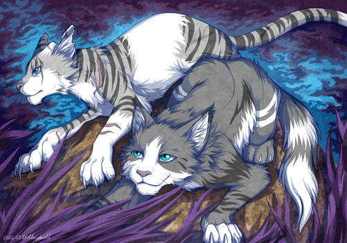 Ivypool and Bristlefrost