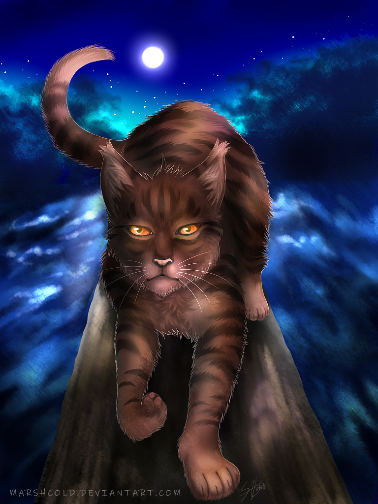 Warriors: Tigerstar/Tigerclaw by Marshcold on DeviantArt