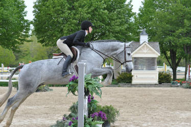 Wining the USEF Medal