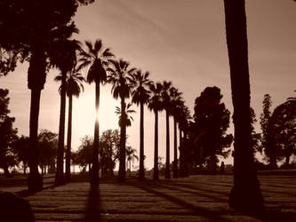 Beautiful Cemetery