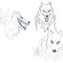 Seta Wolf Doodles