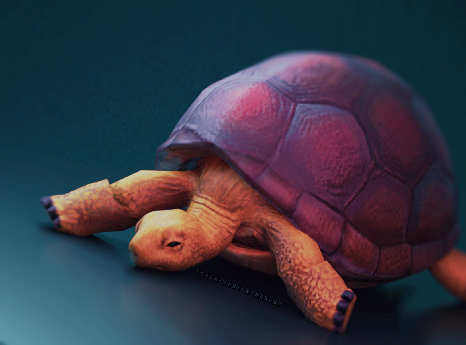 .:Tired Turtle:. by Tough-Turtle-Dragon on DeviantArt