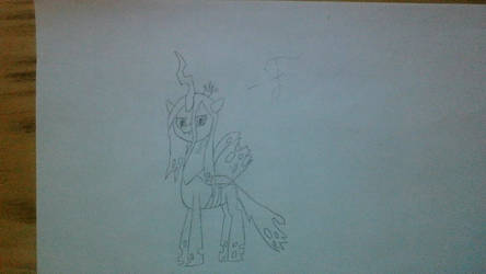 Drawing of Chrysalis