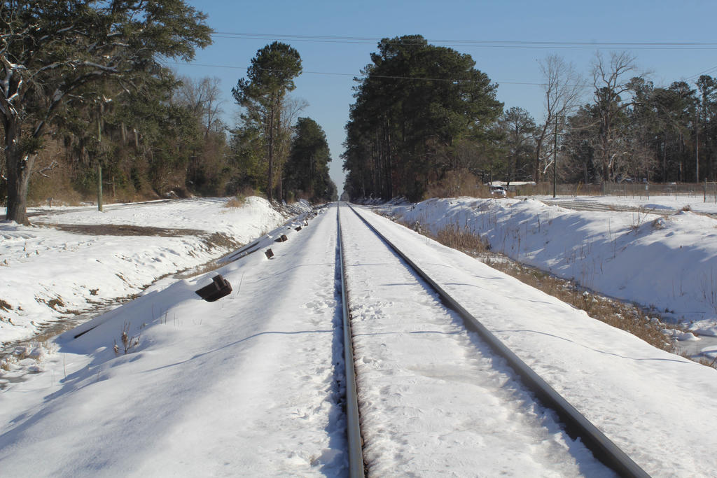 Snowy tracks