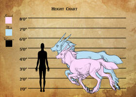 Height chart