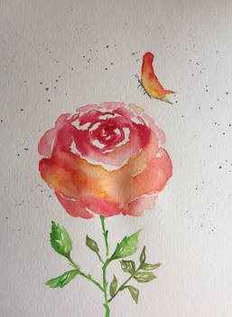 Rose and Butterfly - 2 p