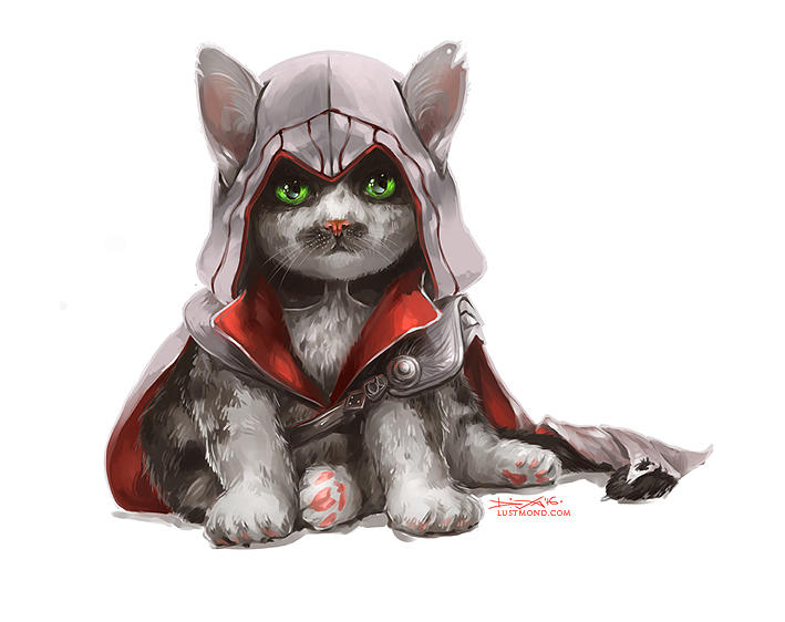 Assassin Kitten by CurlyJul on DeviantArt