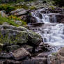 Mountain Stream