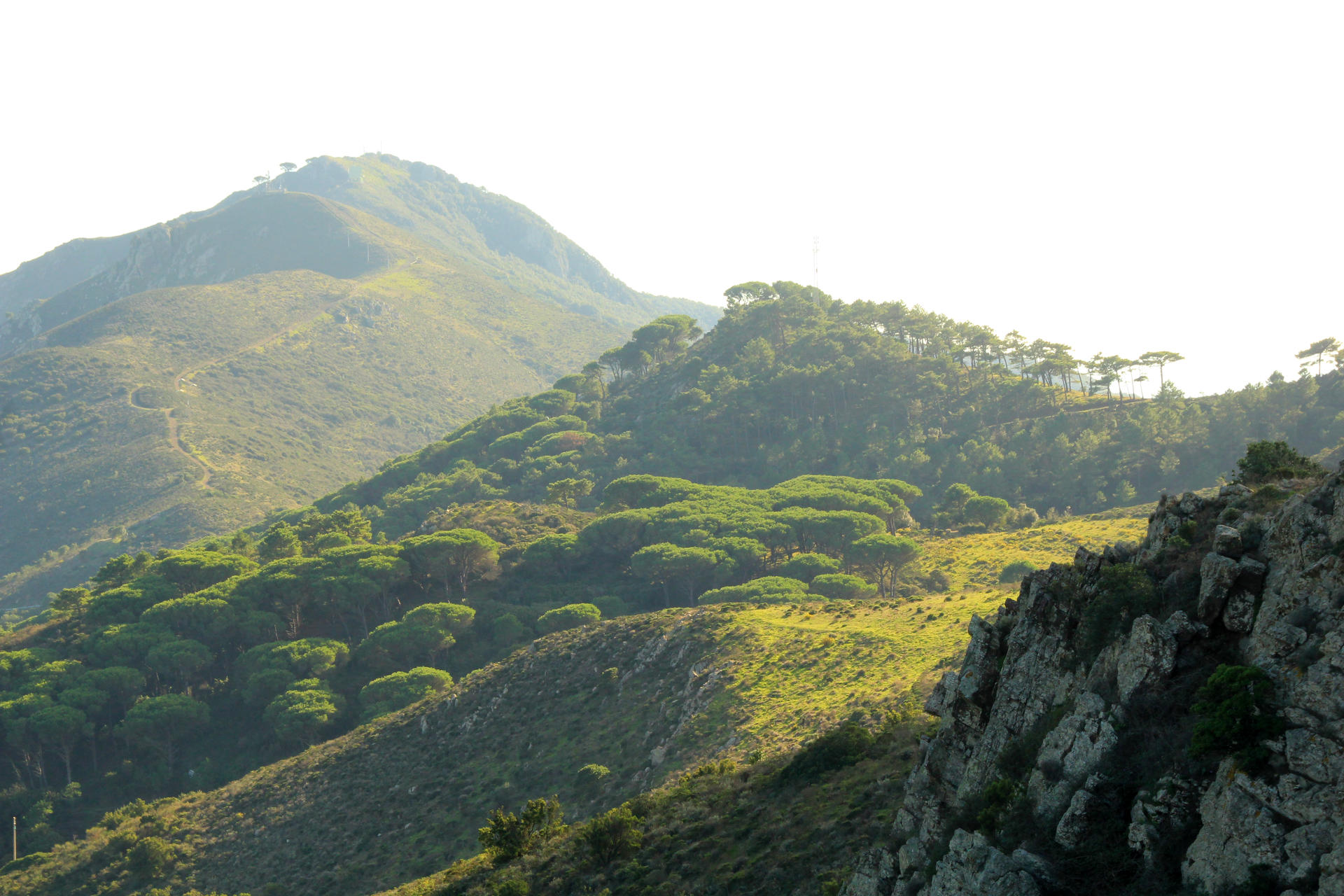 Forgotten Ridge Ground View Forgotten ridge trails on Elba by LutzOrth on DeviantArt