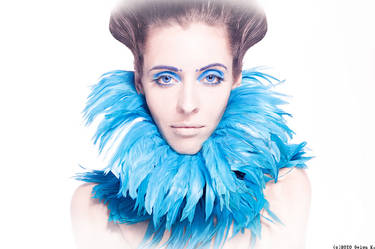 Blue Feathers 2