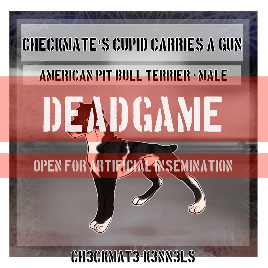 DG CH Checkmate's Cupid Carries A Gun 3xW 7xL by CH3CKMAT3-K3NN3LS on ...