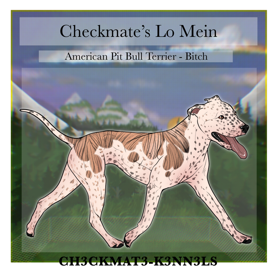 86 Checkmate Checkmate's Lo Mein 1xW 3xL by CH3CKMAT3-K3NN3LS on DeviantArt