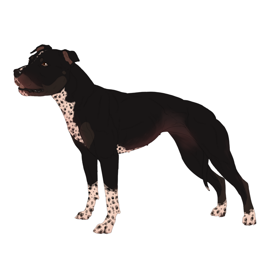 CH Checkmate's Enter My Veins 3xW 1xL by CH3CKMAT3-K3NN3LS on DeviantArt