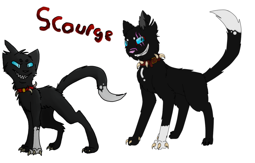 Scourge Design Collab