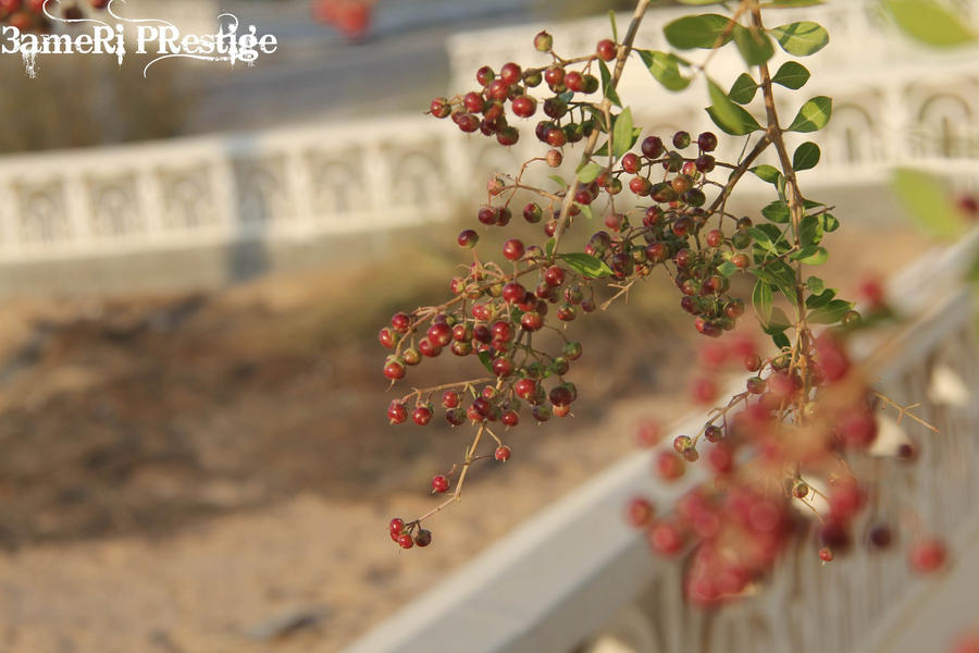 Red hope by ameriprestige on DeviantArt