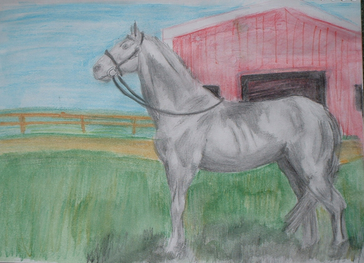 Man O War Watercolor By Giddyuphorsey85 On Deviantart