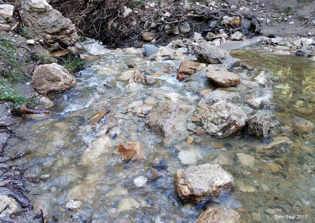 Rocky Stream Vector Rocky stream by Transportphotos on DeviantArt