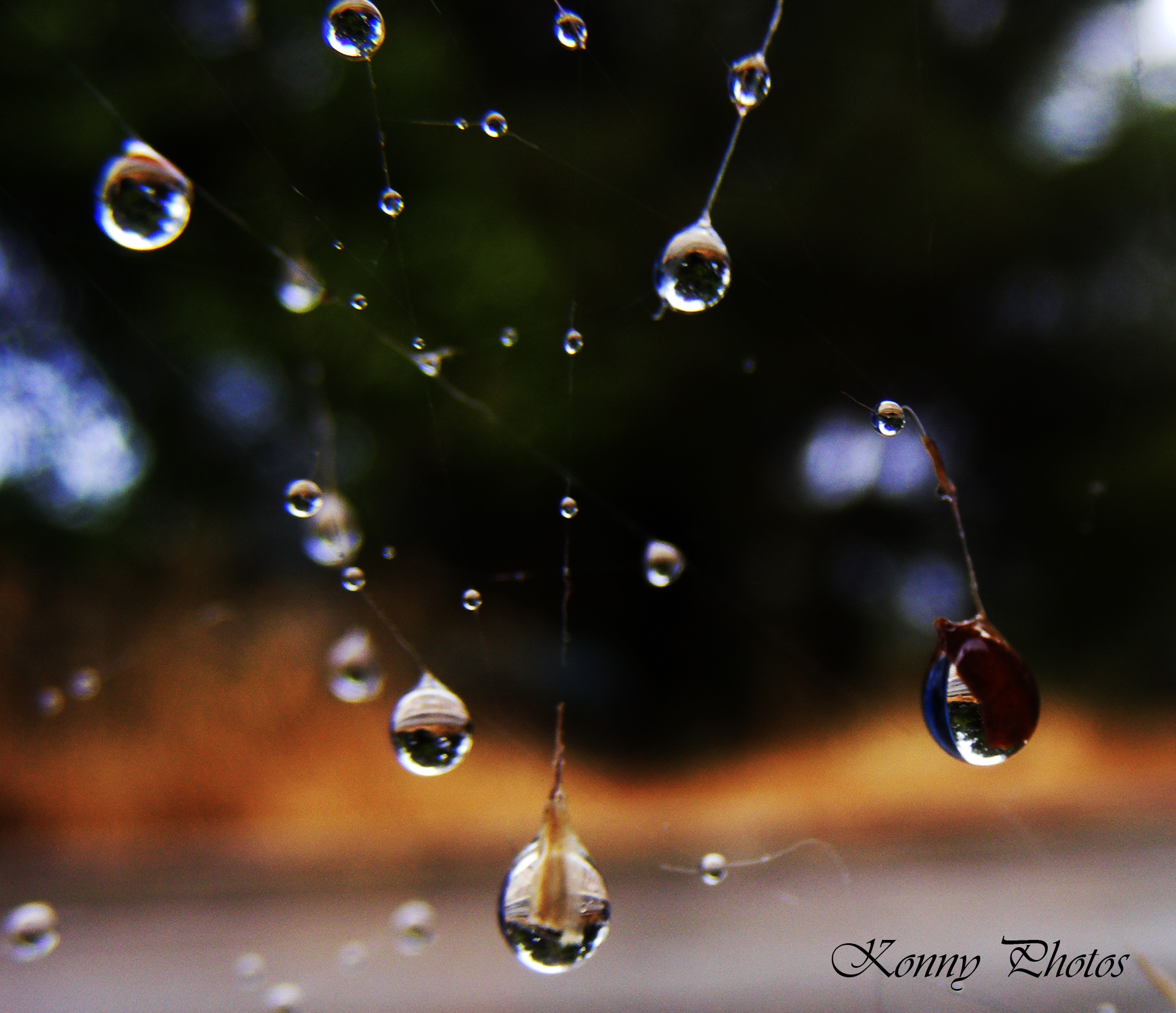 drops